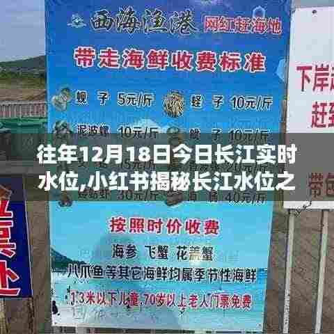 揭秘长江水位之谜，历年12月18日长江实时水位深度解析与小红书分享的水位数据回顾