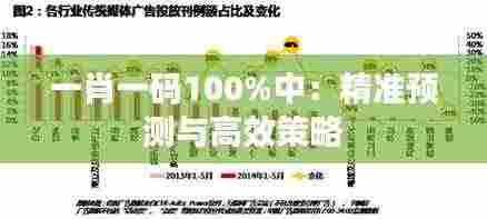 一肖一码100%中：精准预测与高效策略