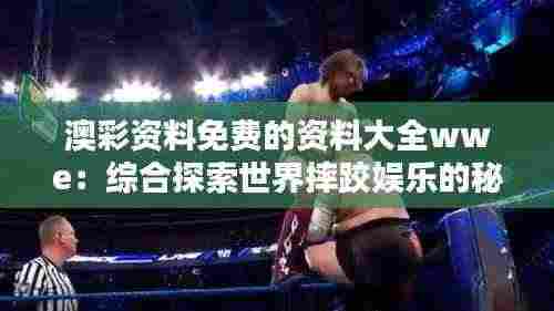 澳彩资料免费的资料大全wwe：综合探索世界摔跤娱乐的秘籍与精华