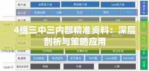 4组三中三内部精准资料：深层剖析与策略应用