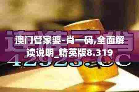 澳门管家婆-肖一码,全面解读说明_精英版8.319