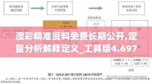 澳彩精准资料免费长期公开,定量分析解释定义_工具版4.697