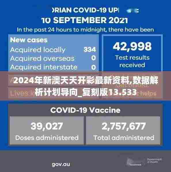 2024年新澳天天开彩最新资料,数据解析计划导向_复刻版13.533