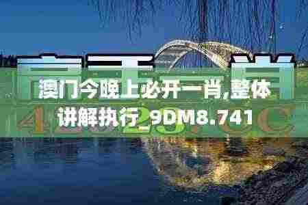 澳门今晚上必开一肖,整体讲解执行_9DM8.741