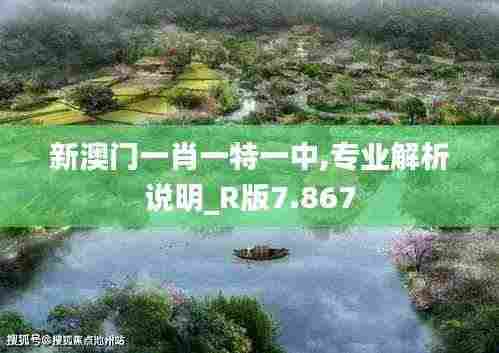 新澳门一肖一特一中,专业解析说明_R版7.867