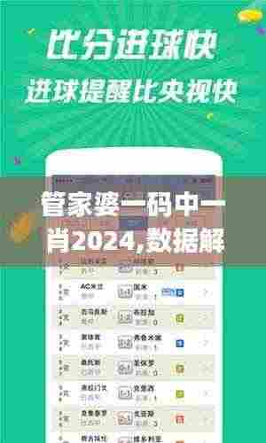 管家婆一码中一肖2024,数据解读说明_FHD3.272