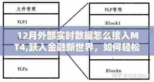 金融新世界探索，十二月MT4实时数据接入方法与策略