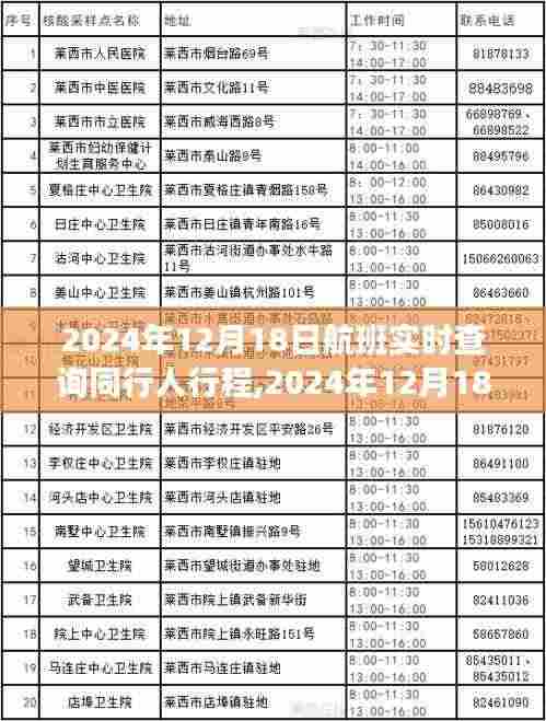 2024年12月18日航班同行人实时查询，追踪时代旅程的便捷工具
