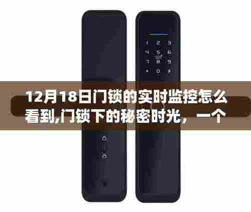 智能门锁下的秘密时光，友情、家庭与实时监控的温馨故事