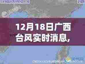 广西遭遇台风袭击，最新实时消息与深度解析（12月18日）