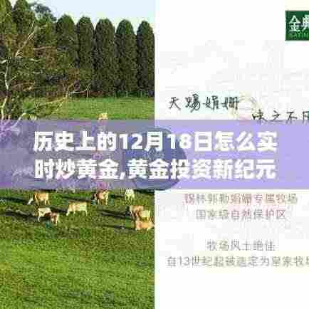 昙花一现 第4页