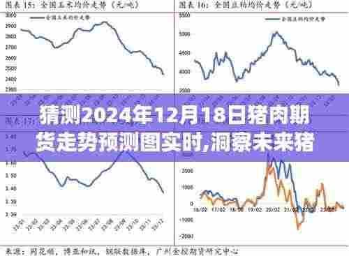 2024年12月18日猪肉期货走势预测图解析与未来市场洞察