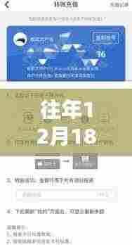 跨越新大陆，实时到账奇迹背后的力量与持续学习之路