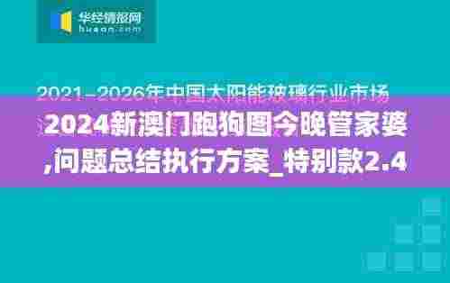 2024新澳门跑狗图今晚管家婆,问题总结执行方案_特别款2.411
