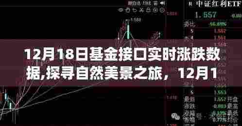 揭秘基金实时涨跌背后的故事，探寻自然美景之旅的启示（12月18日）