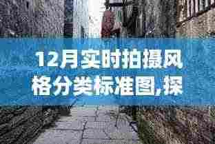 探秘摄影秘境，12月实时拍摄风格分类标准图之旅