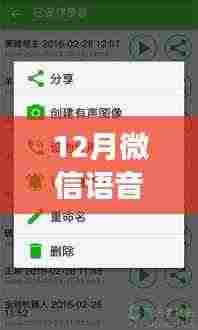 玩转微信语音交流新纪元，最新实时变音技术揭秘！