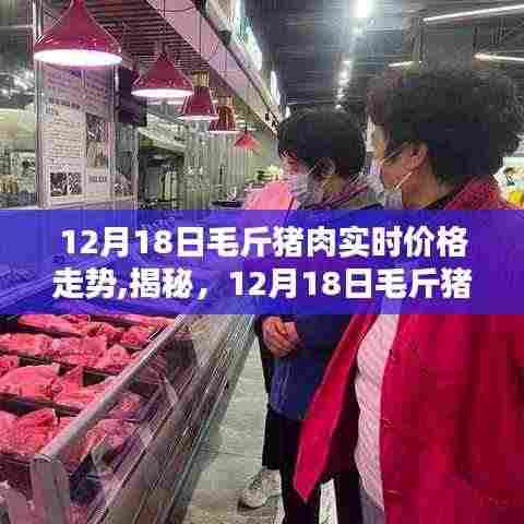 揭秘，12月18日毛斤猪肉实时价格走势深度解析与趋势预测