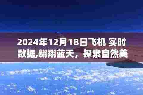 蓝天之旅，探索自然美景的飞行数据纪实——2024年12月18日飞机实时数据