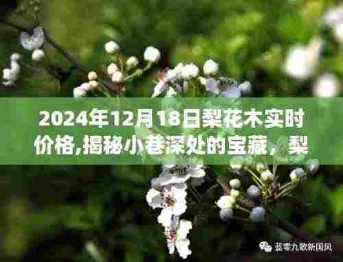 飞天遁地 第4页