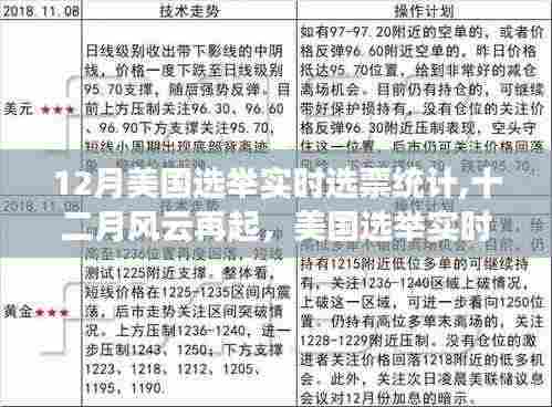 美国大选风云再起，实时选票统计背后的故事揭秘