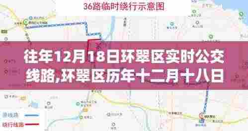 环翠区历年十二月十八日实时公交线路全面解析与评测报告