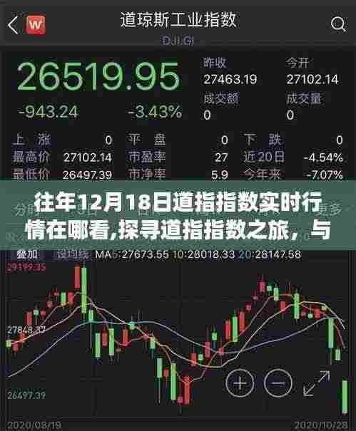 探寻道指指数之旅，实时行情与自然美景的交融，重拾内心宁静的启示