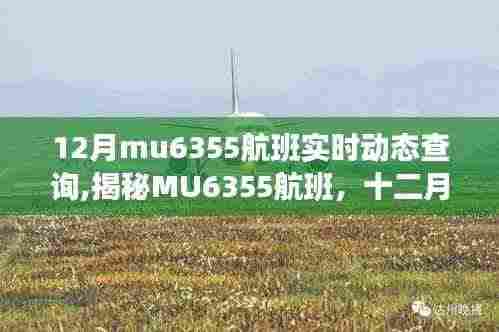 揭秘MU6355航班，十二月飞行轨迹与时代印记的实时动态查询