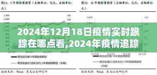 智能科技引领下的疫情实时追踪新纪元，2024年疫情追踪新体验