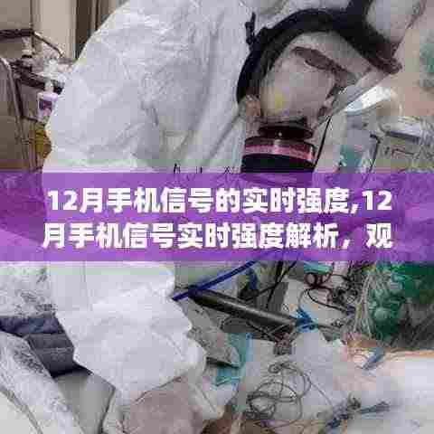 深度解析，12月手机信号实时强度与观点阐述