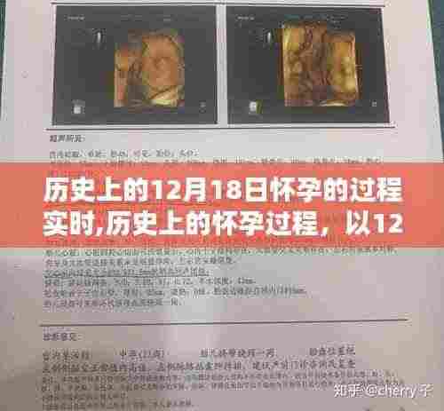 揭秘历史上怀孕过程，以12月18日为时间线的怀孕历程实时追踪