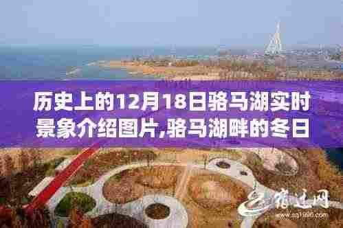 骆马湖畔的冬日奇遇，追寻历史中的温暖瞬间与实时景象介绍图片