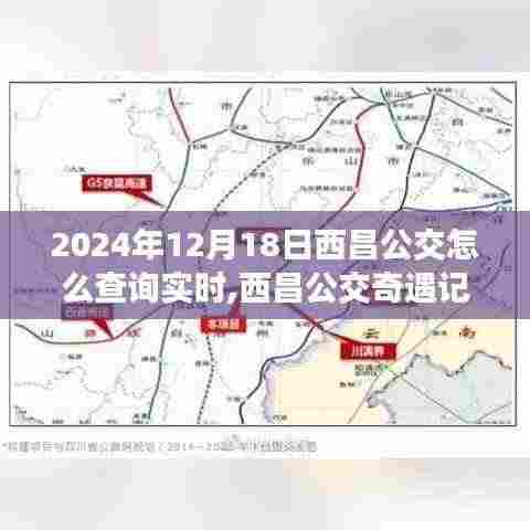 时光相伴的美好之旅，西昌公交实时查询与奇遇记