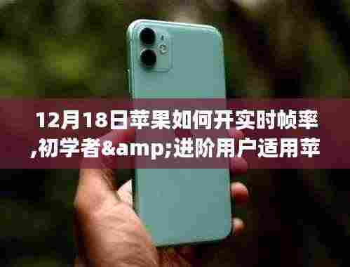 苹果设备实时帧率开启详解，适合初学者与进阶用户的步骤指南（12月18日更新）