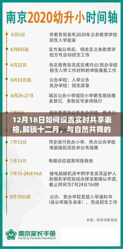 解锁十二月，共享表格记录旅行足迹的实时设置指南