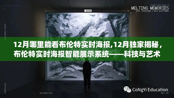 科技与艺术的碰撞,布伦特实时海报智能展示系统在冬季的独家揭秘