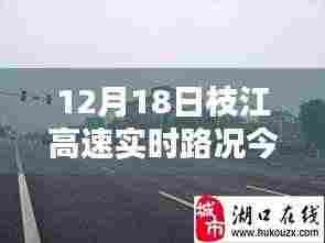 下里巴人 第5页