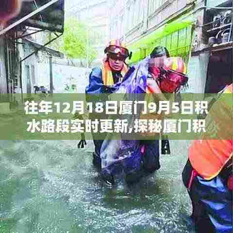 厦门积水路段实时更新，探秘特色小巷与奇趣小店