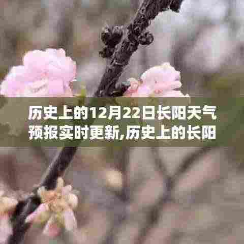 历史上的长阳天气预报探寻，数据背后的故事与变迁——实时更新中的历史数据解析