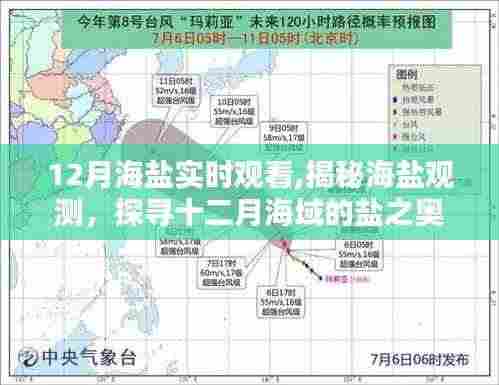 揭秘十二月海盐观测，探寻海域盐分的奥秘