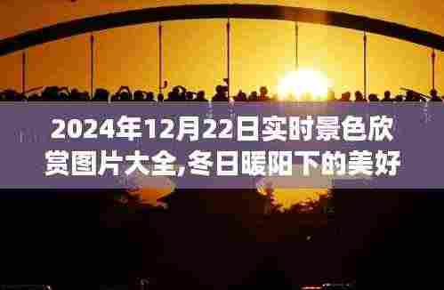 冬日暖阳下的美景瞬间，实时景色欣赏之旅，记录美好时光，2024年12月22日实拍图片大全分享