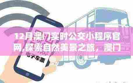 澳门公交小程序,探索自然美景之旅,宁静平和的出行伴侣