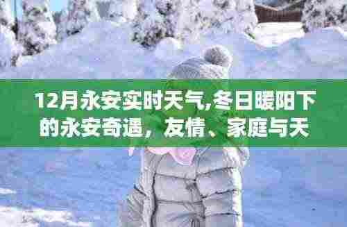 永安冬日暖阳下的奇遇，天气与友家的美好交响曲