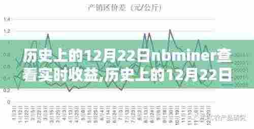 历史上的12月22日nbminer收益查看指南，实时收益查看方法与指南