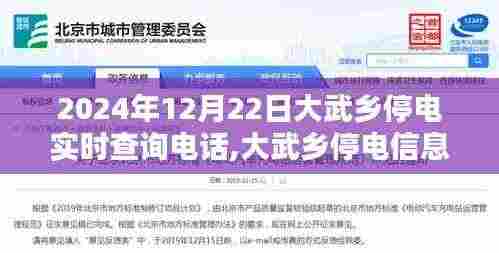 大武乡停电实时查询指南，2024年12月22日查询电话及步骤详解