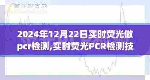 栖冲业简 第4页