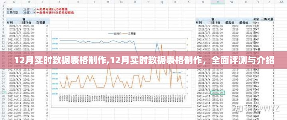 全面评测与介绍，12月实时数据表格制作指南