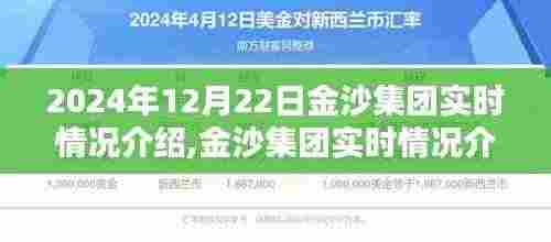 金沙集团实时情况深度评测，产品特性与用户体验分析