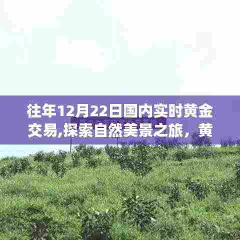 黄金交易与自然美景之旅，一场远离尘嚣的奇妙黄金交易体验与心灵之旅