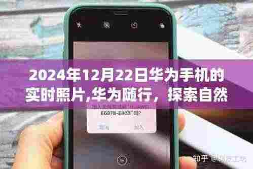 华为随行，探索自然美景的旅程，唤醒内心的平静之美——华为手机实时照片记录时光